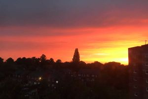 Photo 2- click for photo gallery